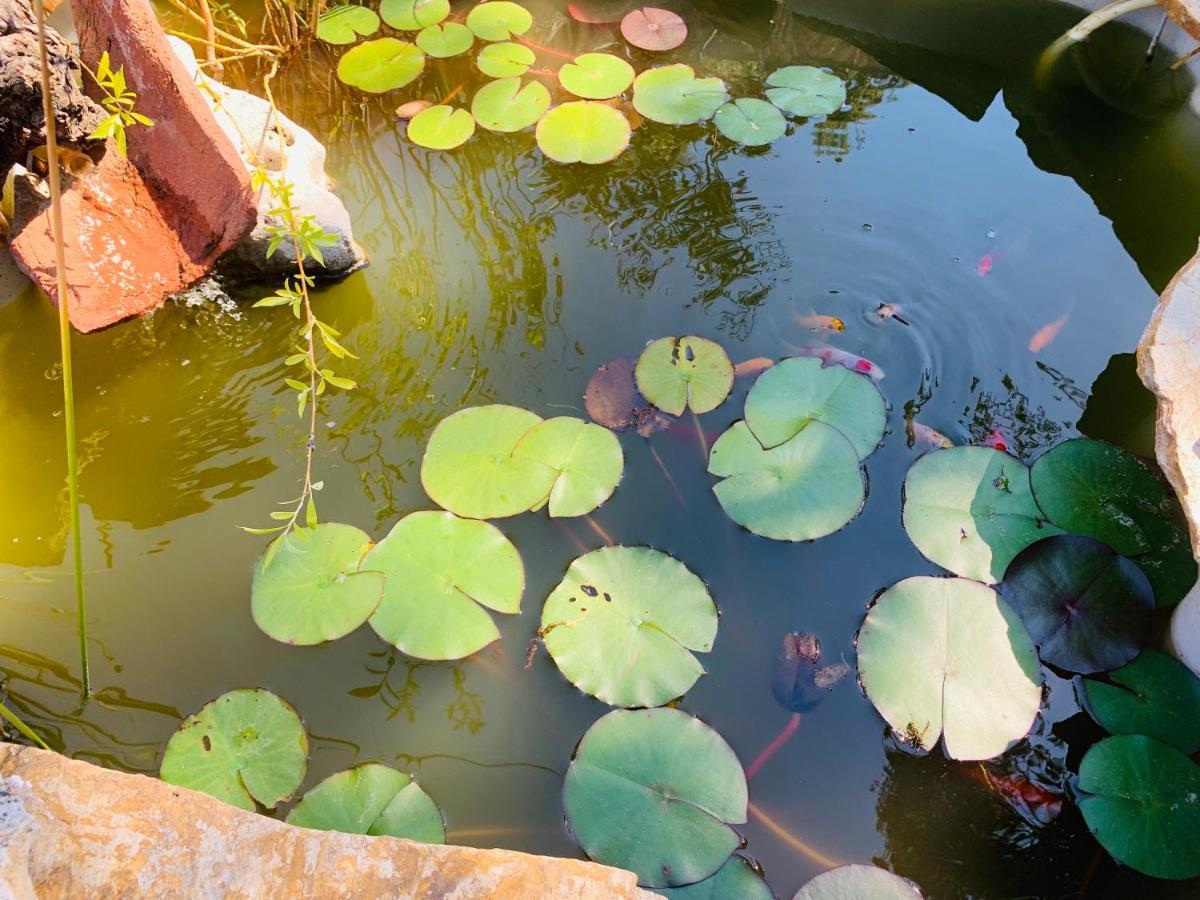 Villa del Prado Jaramundi 빌라 외부 사진